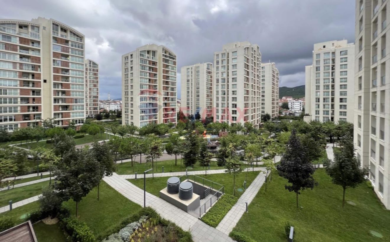 ORTADOĞU HOLDİNG  RESİM ISTANBUL ORMAN  RESİM ISTANBUL 
